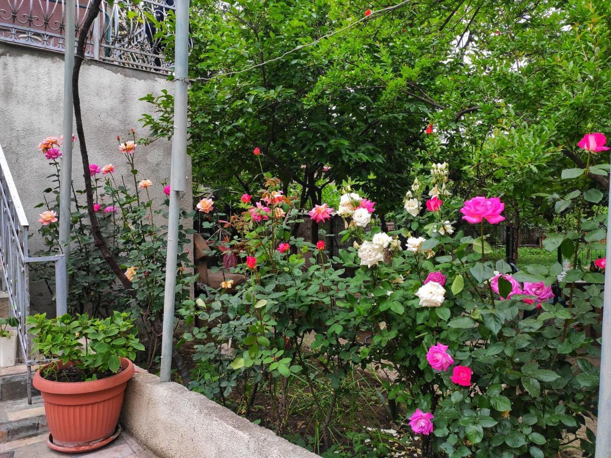 Guesthouse Ttt-1 Tbilisi Exterior photo